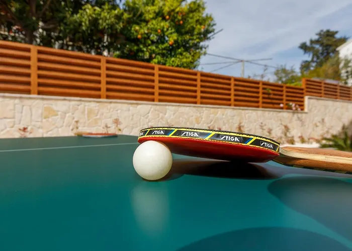 Rusinac - Private Heated Pool Vila