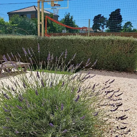 Rusinac - Private Heated Pool Vila
