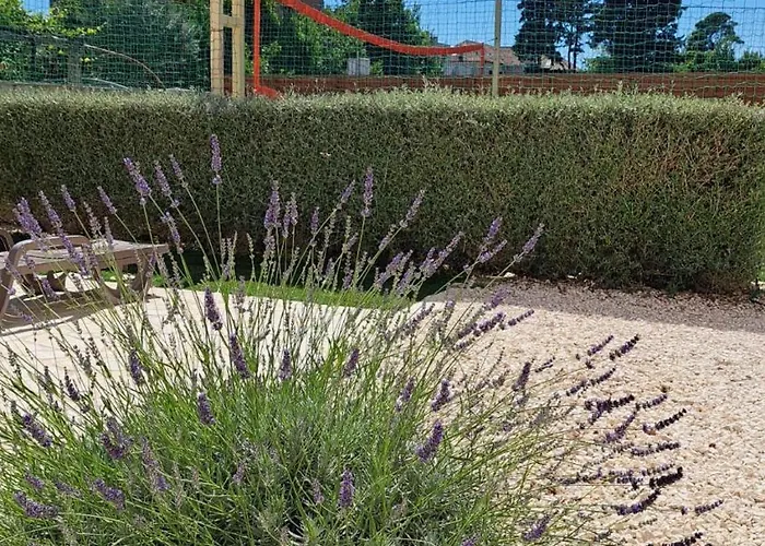 Rusinac - Private Heated Pool Villa